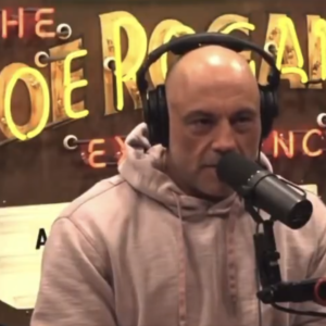 Joe Rogan Experience