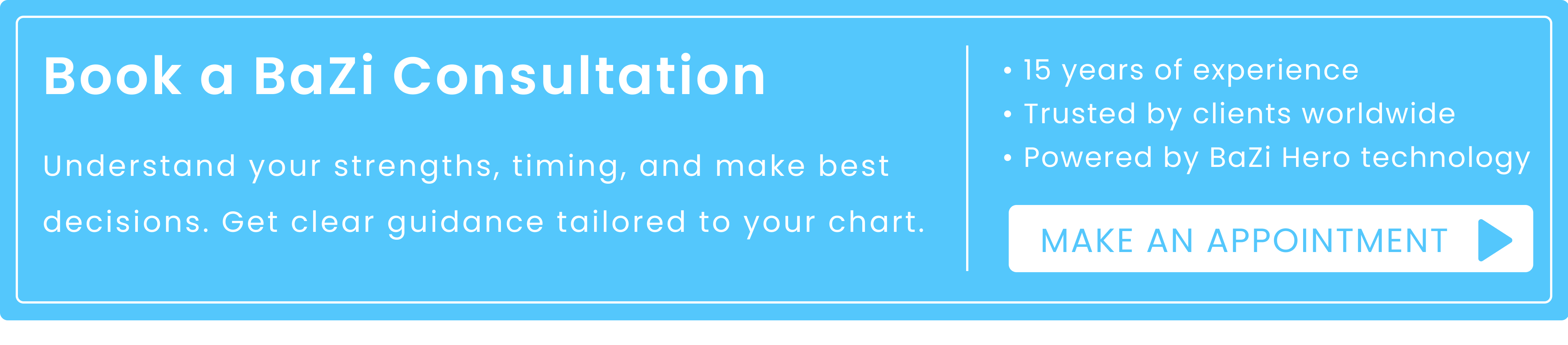 Private BaZi Consultation