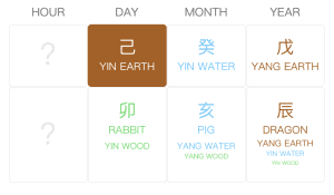 Erika Kirk BaZi Chart