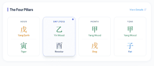 Lindsey Vonn BaZi Chart